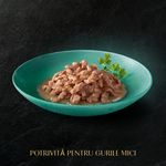 hrana-umeda-pentru-pisici-junior-sheba-kitten-pachet-mixt-cu-somon-si-pui-4-x-85-g
