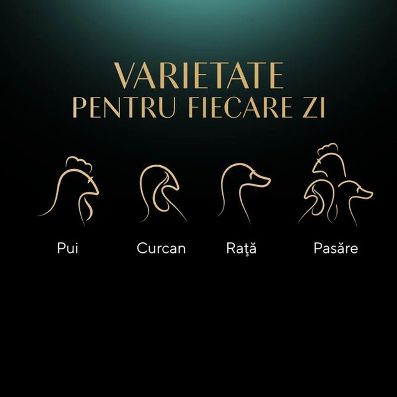 hrana-umeda-pentru-pisici-adulte-sheba-nature-s-collection-selectie-de-pasare-4-x-85-g