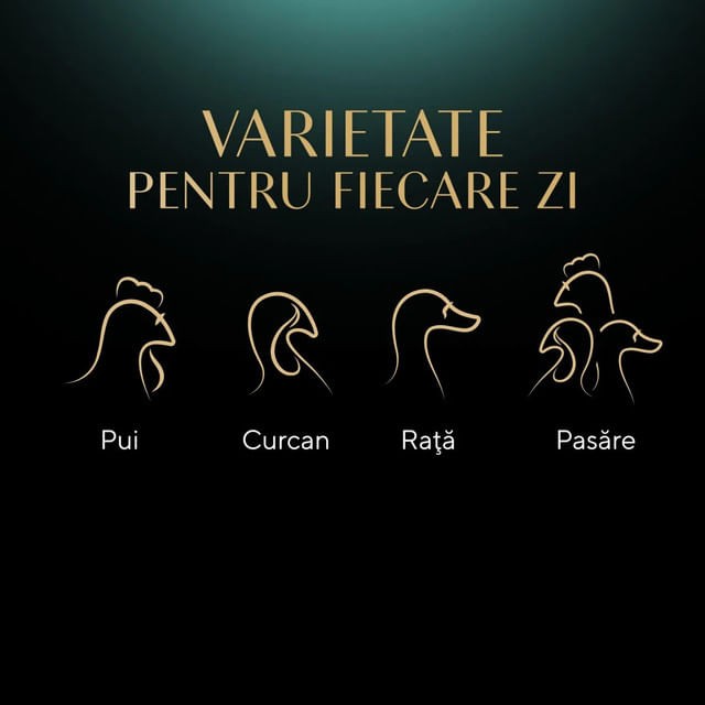 hrana-umeda-pentru-pisici-adulte-sheba-nature-s-collection-selectie-de-pasare-4-x-85-g