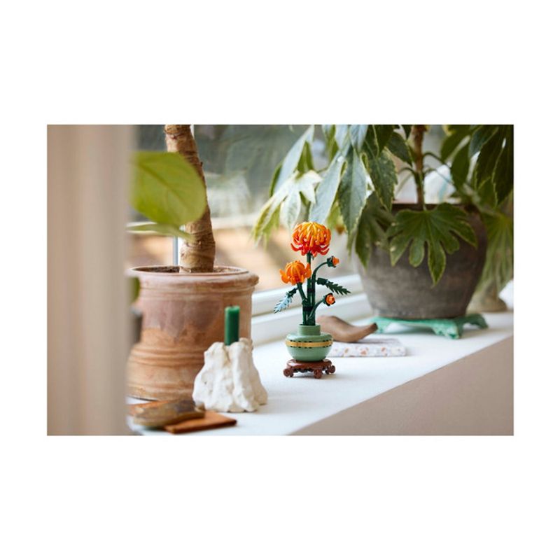10368-lifestyle-envr-03