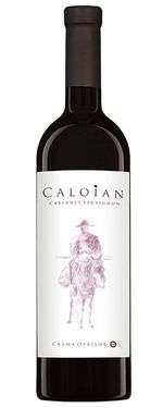 vin-rosu-sec-caloian-cabernet-sauvignon-0-75-l-sgr