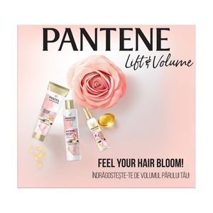 Set pentru cadou Pantene Pro-V Miracles: Sampon, 250 ml + Balsam, 160 ml + Ulei 7 in 1, 140 ml