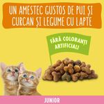 hrana-uscata-pentru-pisici-junioare-purina-friskies-pui-si-legume-300-g
