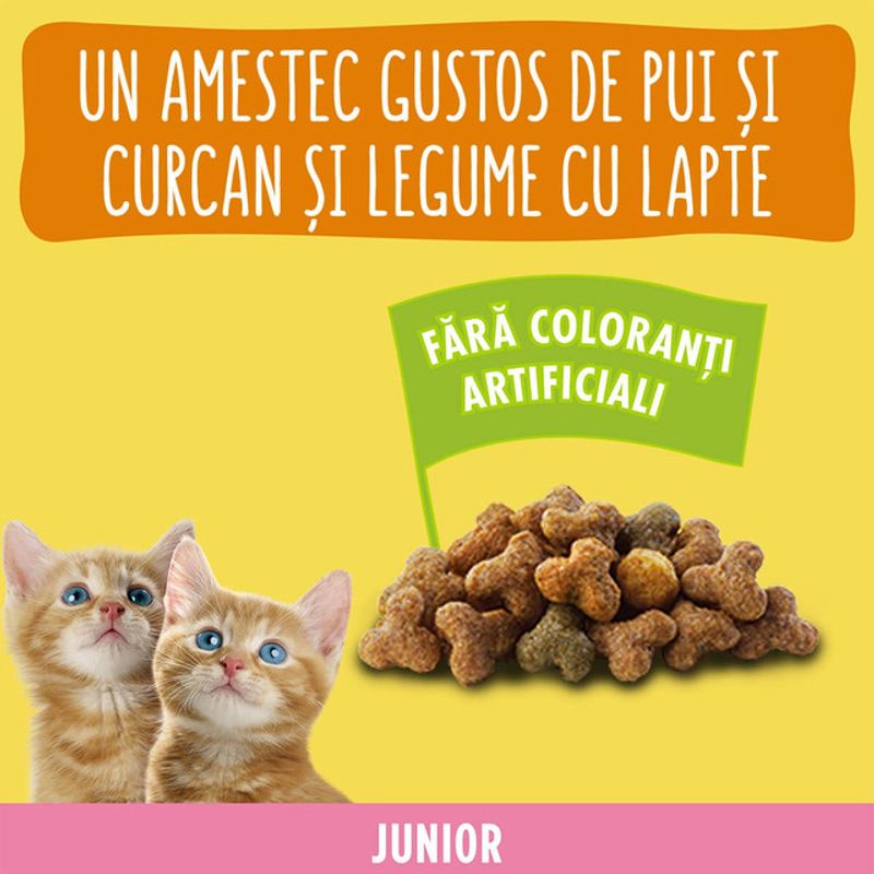 hrana-uscata-pentru-pisici-junioare-purina-friskies-pui-si-legume-300-g
