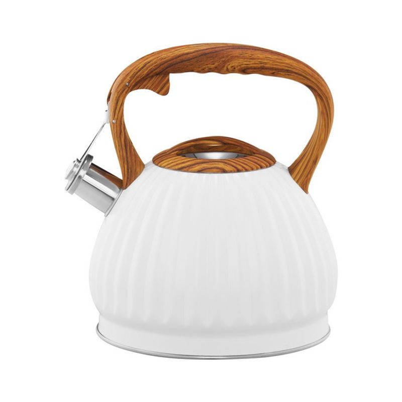 ceainic-ambition-curly-2-5-l-inox-crem