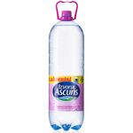 apa-carbogazoasa-izvorul-ascuns-2-5l-sgr