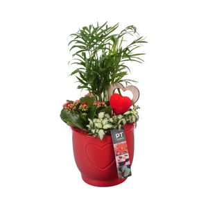 Aranjament floral, diametru 14 cm, inaltime 38 cm