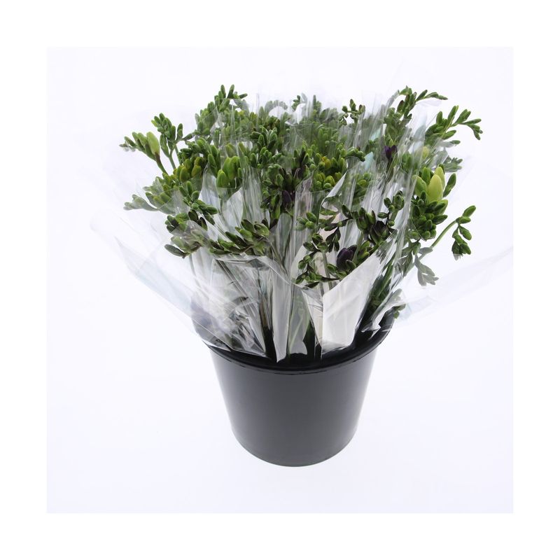 150771 BUCHET FREZII 7 FIRE H40 4260430991156.jpg