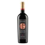 vin-rosu-sec-vinarte-castel-bolovanu-cabernet-sauvignon-0-75l-sgr