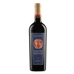 vin-rosu-sec-vinarte-castel-bolovanu-novac-alcool-13-0-75l-sgr