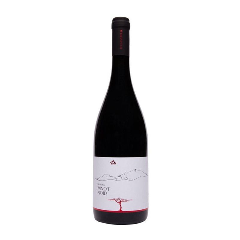 vin-rosu-sec-silvania-pinot-noir-rosu-13-50-0-75l-sgr