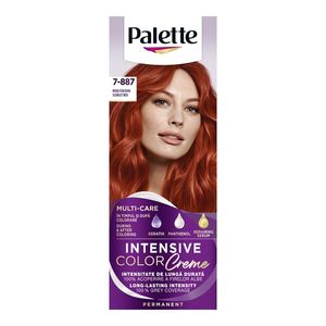 Vopsea de par Palette Intensive Color Creme RV6