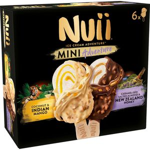 Inghetata pe bat Nuii Mini Adventure: 3x Coconut & Indian Mango + 3x Caramelised Salted Almond & New Zeland Honey