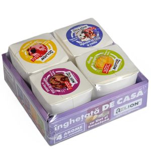 Inghetata de casa cu unt si smantana Elion, diverse arome, 4 x 100 ml
