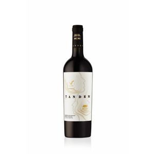 Vin rosu sec Castel Mimi Tandem, Cabernet Sauvignon si Feteasca Neagra, 0.75 l