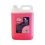 lichid-de-parbriz-pentru-vara-kraftmann-premium-5-l