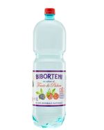 bautura-carbogazoasa-cu-extract-de-fructe-de-padure-biborteni-2-l-sgr