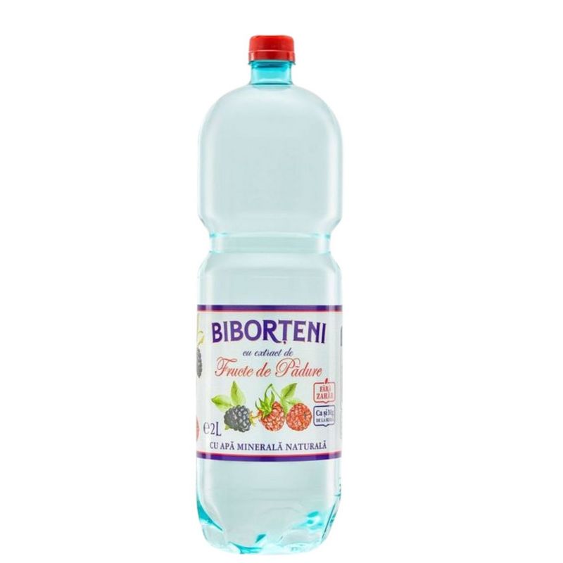 bautura-carbogazoasa-cu-extract-de-fructe-de-padure-biborteni-2-l-sgr