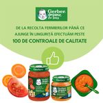 Tocanita italiana de legume cu rosii Gerber Organic, de la 8 luni, 190 g-1764937254422