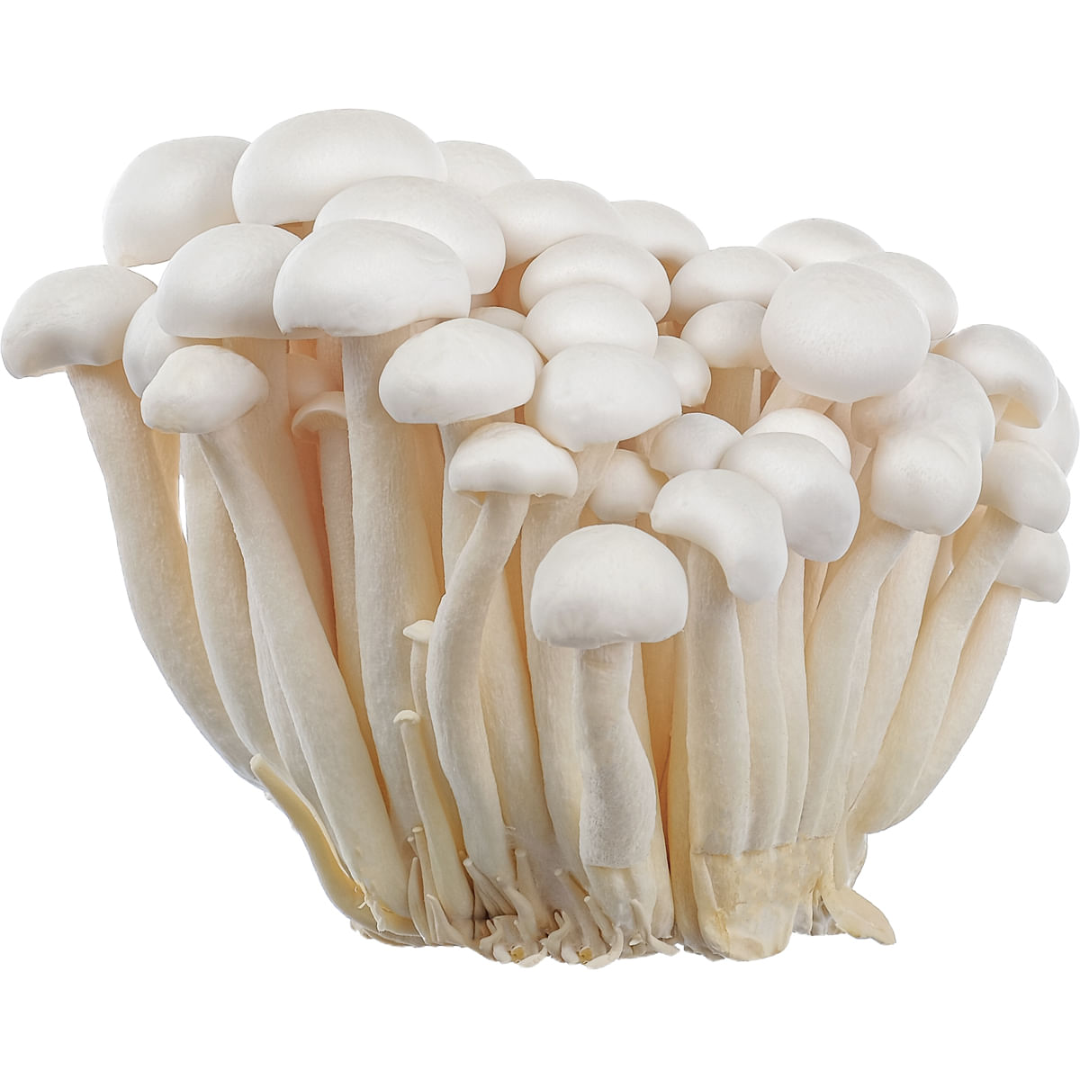 Ciuperci Shimeji albe, 150 g