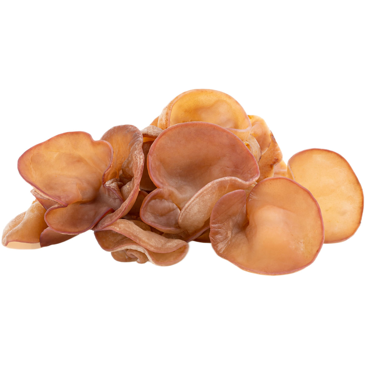 Ciuperci urechi de lemn, 100 g