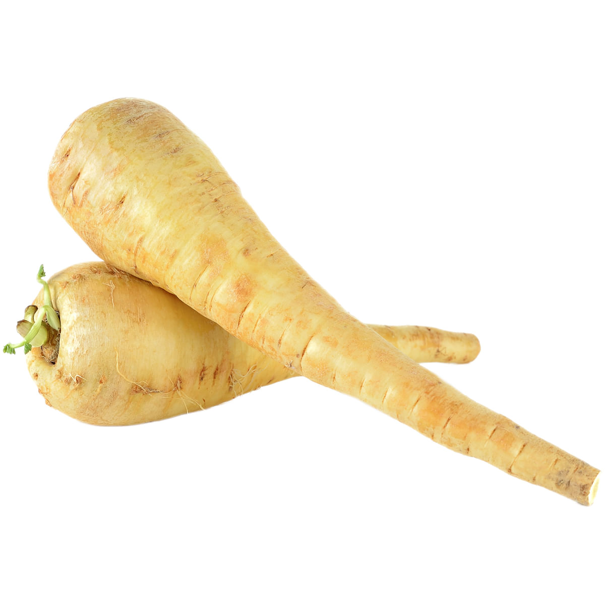 Pastarnac 300g filiera