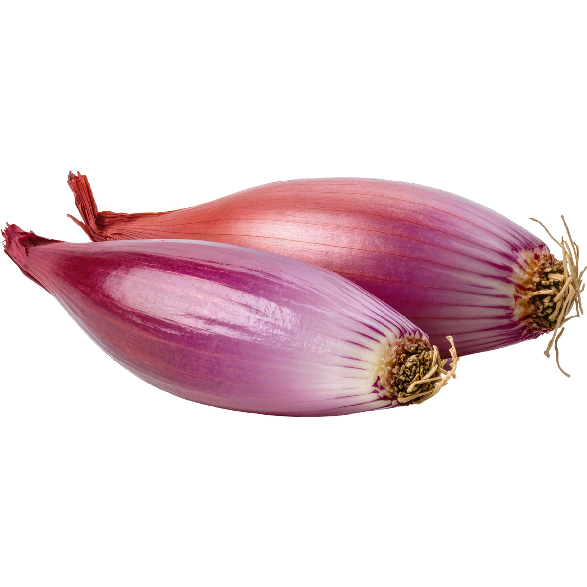 Ceapa de apa Filiera Auchan, 500 g