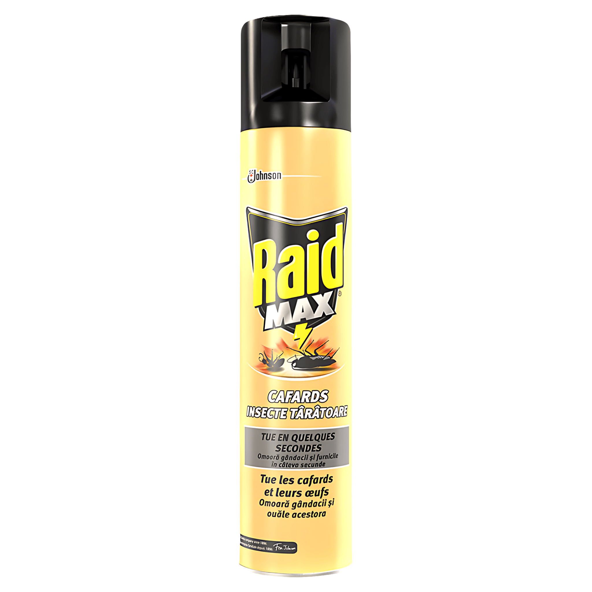 Spray Raid Max pentru insecte taratoare, 300 ml