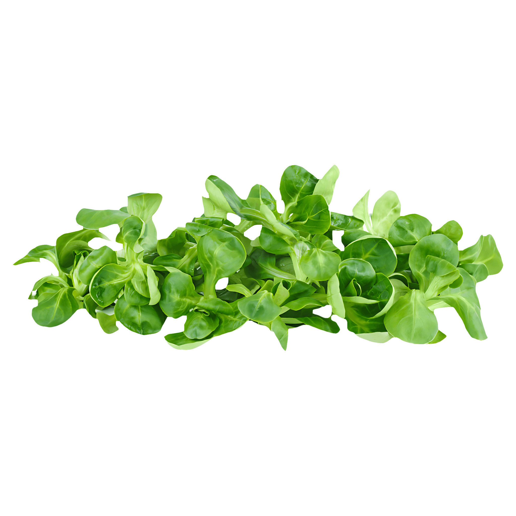 Fetica ECO Auchan, 100g